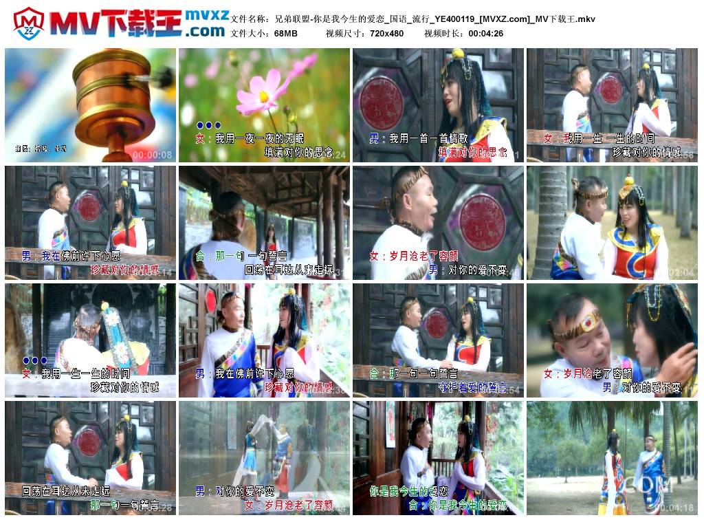 兄弟联盟-你是我今生的爱恋_国语_流行_YE400119